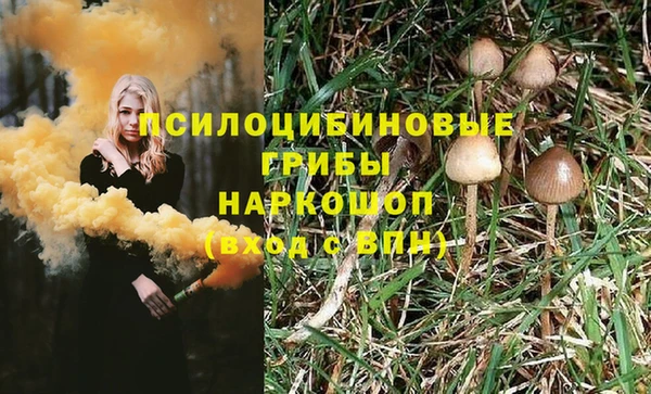 мефедрон Богородицк